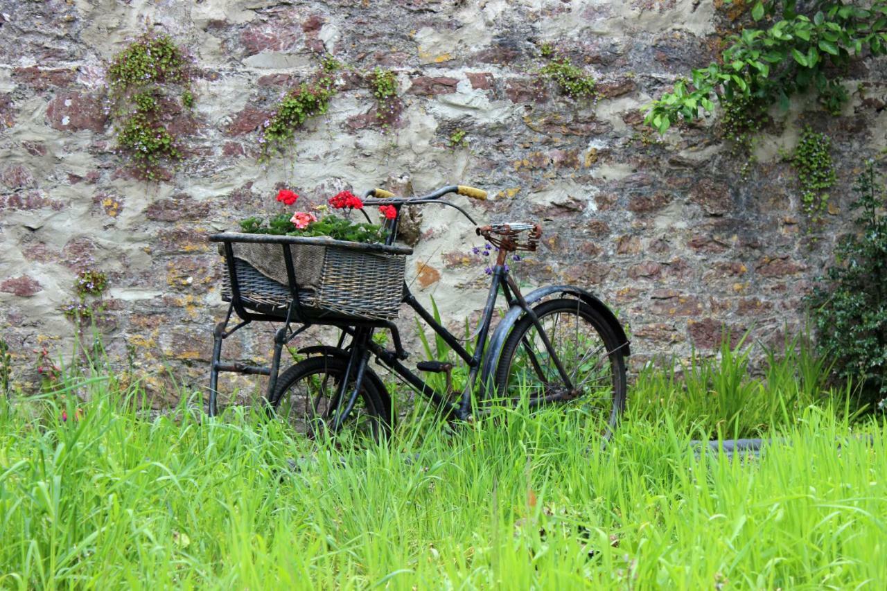 St Katharine'S House Bed and Breakfast Milford Haven Eksteriør billede
